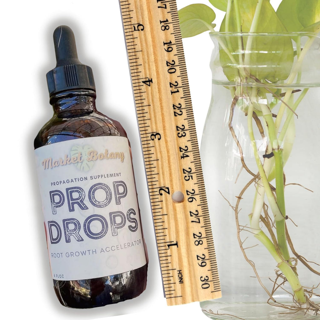 Prop Drops, by Market Botany | Propagation Plant Drops to Promote Healthy Root Growth