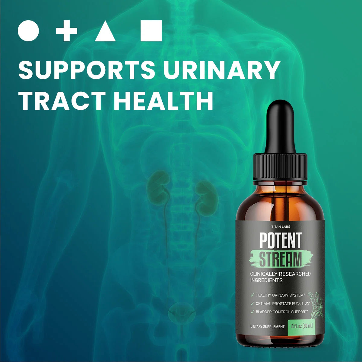 Potent Stream Drops, Potent Stream Prostate Support Drops (60 ML)