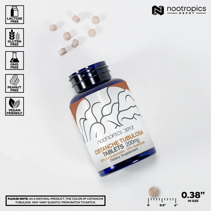 Nootropics Depot Cistanche tubulosa Tablets | 200mg | 180 Count | Minimum 50% Echinacoside + 10% Acetoside